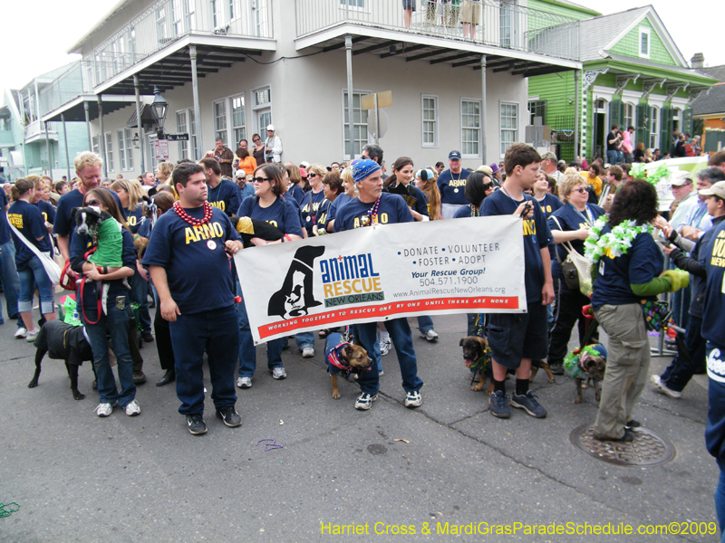 2009-Mystic-Krewe-of-Barkus-Mardi-Gras-French-Quarter-New-Orleans-Dog-Parade-Harriet-Cross-7718