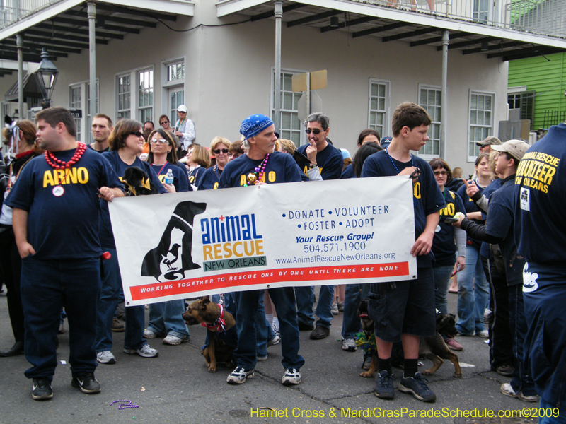 2009-Mystic-Krewe-of-Barkus-Mardi-Gras-French-Quarter-New-Orleans-Dog-Parade-Harriet-Cross-7719