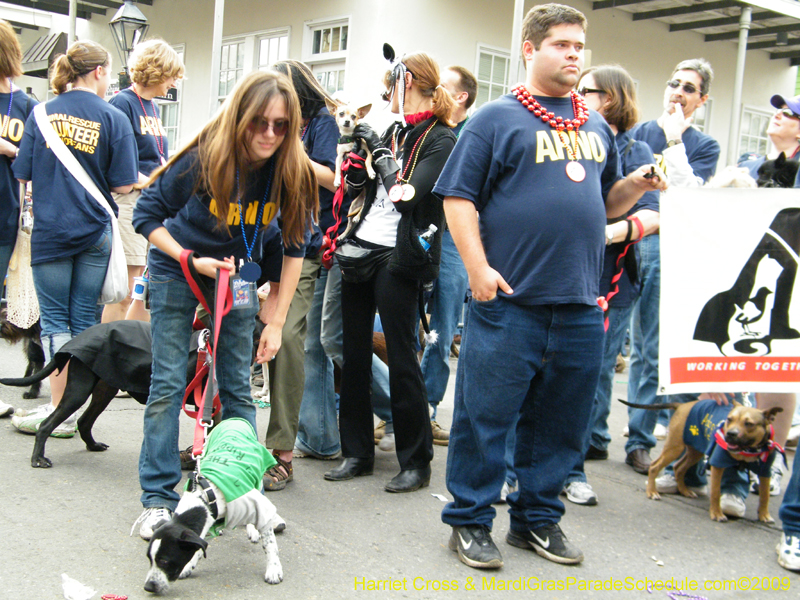 2009-Mystic-Krewe-of-Barkus-Mardi-Gras-French-Quarter-New-Orleans-Dog-Parade-Harriet-Cross-7721