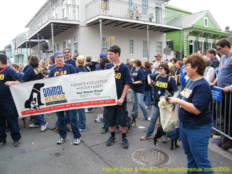 2009-Mystic-Krewe-of-Barkus-Mardi-Gras-French-Quarter-New-Orleans-Dog-Parade-Harriet-Cross-7722