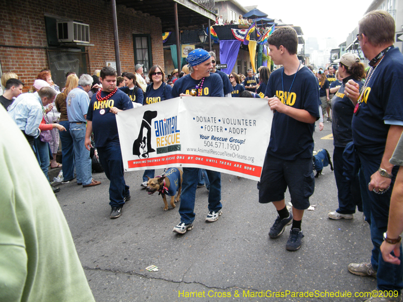 2009-Mystic-Krewe-of-Barkus-Mardi-Gras-French-Quarter-New-Orleans-Dog-Parade-Harriet-Cross-7723