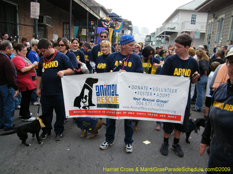 2009-Mystic-Krewe-of-Barkus-Mardi-Gras-French-Quarter-New-Orleans-Dog-Parade-Harriet-Cross-7724