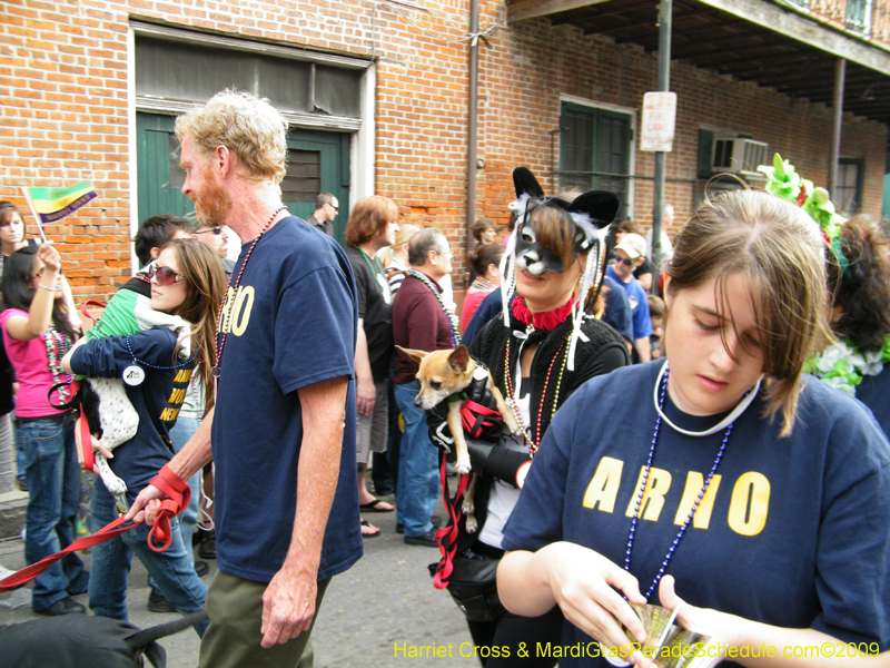 2009-Mystic-Krewe-of-Barkus-Mardi-Gras-French-Quarter-New-Orleans-Dog-Parade-Harriet-Cross-7728