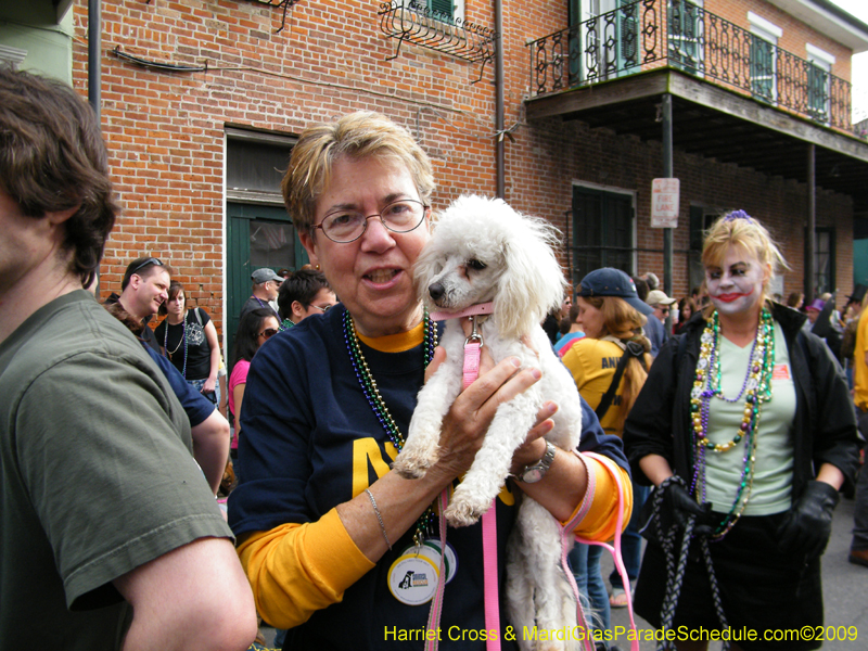 2009-Mystic-Krewe-of-Barkus-Mardi-Gras-French-Quarter-New-Orleans-Dog-Parade-Harriet-Cross-7735