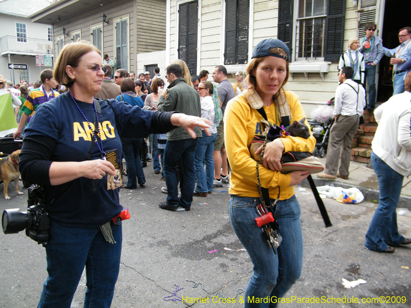 2009-Mystic-Krewe-of-Barkus-Mardi-Gras-French-Quarter-New-Orleans-Dog-Parade-Harriet-Cross-7740