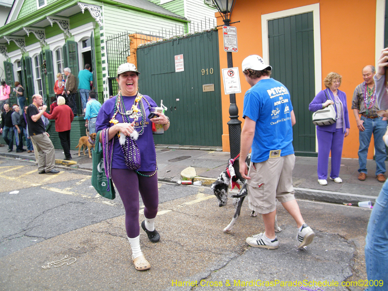 2009-Mystic-Krewe-of-Barkus-Mardi-Gras-French-Quarter-New-Orleans-Dog-Parade-Harriet-Cross-7746