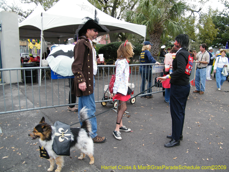 2009-Mystic-Krewe-of-Barkus-Mardi-Gras-French-Quarter-New-Orleans-Dog-Parade-Harriet-Cross-7763