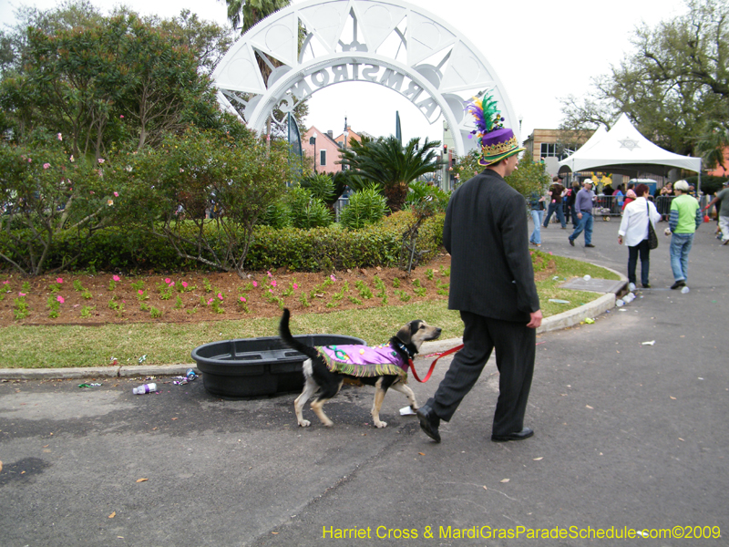 2009-Mystic-Krewe-of-Barkus-Mardi-Gras-French-Quarter-New-Orleans-Dog-Parade-Harriet-Cross-7765