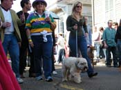 2009-Mystic-Krewe-of-Barkus-Mardi-Gras-French-Quarter-New-Orleans-Dog-Parade-Harriet-Cross-7251