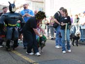 2009-Mystic-Krewe-of-Barkus-Mardi-Gras-French-Quarter-New-Orleans-Dog-Parade-Harriet-Cross-7263