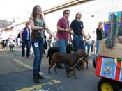 2009-Mystic-Krewe-of-Barkus-Mardi-Gras-French-Quarter-New-Orleans-Dog-Parade-Harriet-Cross-7267