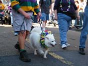 2009-Mystic-Krewe-of-Barkus-Mardi-Gras-French-Quarter-New-Orleans-Dog-Parade-Harriet-Cross-7272