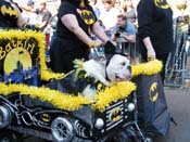 2009-Mystic-Krewe-of-Barkus-Mardi-Gras-French-Quarter-New-Orleans-Dog-Parade-Harriet-Cross-7279