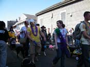 2009-Mystic-Krewe-of-Barkus-Mardi-Gras-French-Quarter-New-Orleans-Dog-Parade-Harriet-Cross-7287