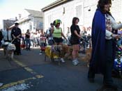 2009-Mystic-Krewe-of-Barkus-Mardi-Gras-French-Quarter-New-Orleans-Dog-Parade-Harriet-Cross-7289