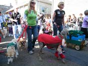 2009-Mystic-Krewe-of-Barkus-Mardi-Gras-French-Quarter-New-Orleans-Dog-Parade-Harriet-Cross-7299