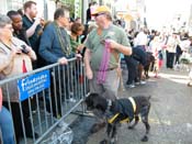 2009-Mystic-Krewe-of-Barkus-Mardi-Gras-French-Quarter-New-Orleans-Dog-Parade-Harriet-Cross-7304