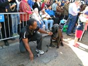 2009-Mystic-Krewe-of-Barkus-Mardi-Gras-French-Quarter-New-Orleans-Dog-Parade-Harriet-Cross-7306