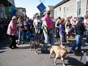 2009-Mystic-Krewe-of-Barkus-Mardi-Gras-French-Quarter-New-Orleans-Dog-Parade-Harriet-Cross-7316