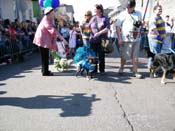 2009-Mystic-Krewe-of-Barkus-Mardi-Gras-French-Quarter-New-Orleans-Dog-Parade-Harriet-Cross-7317