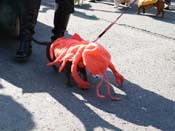 2009-Mystic-Krewe-of-Barkus-Mardi-Gras-French-Quarter-New-Orleans-Dog-Parade-Harriet-Cross-7332