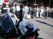 2009-Mystic-Krewe-of-Barkus-Mardi-Gras-French-Quarter-New-Orleans-Dog-Parade-Harriet-Cross-7348