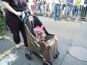 2009-Mystic-Krewe-of-Barkus-Mardi-Gras-French-Quarter-New-Orleans-Dog-Parade-Harriet-Cross-7352