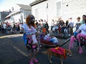 2009-Mystic-Krewe-of-Barkus-Mardi-Gras-French-Quarter-New-Orleans-Dog-Parade-Harriet-Cross-7353