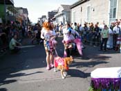 2009-Mystic-Krewe-of-Barkus-Mardi-Gras-French-Quarter-New-Orleans-Dog-Parade-Harriet-Cross-7355