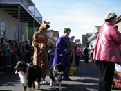 2009-Mystic-Krewe-of-Barkus-Mardi-Gras-French-Quarter-New-Orleans-Dog-Parade-Harriet-Cross-7361