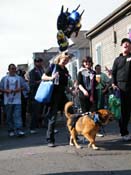 2009-Mystic-Krewe-of-Barkus-Mardi-Gras-French-Quarter-New-Orleans-Dog-Parade-Harriet-Cross-7374