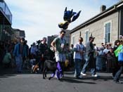 2009-Mystic-Krewe-of-Barkus-Mardi-Gras-French-Quarter-New-Orleans-Dog-Parade-Harriet-Cross-7375