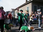 2009-Mystic-Krewe-of-Barkus-Mardi-Gras-French-Quarter-New-Orleans-Dog-Parade-Harriet-Cross-7376