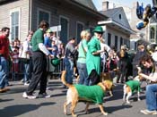 2009-Mystic-Krewe-of-Barkus-Mardi-Gras-French-Quarter-New-Orleans-Dog-Parade-Harriet-Cross-7377