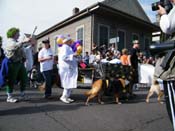 2009-Mystic-Krewe-of-Barkus-Mardi-Gras-French-Quarter-New-Orleans-Dog-Parade-Harriet-Cross-7383