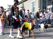 2009-Mystic-Krewe-of-Barkus-Mardi-Gras-French-Quarter-New-Orleans-Dog-Parade-Harriet-Cross-7385