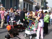 2009-Mystic-Krewe-of-Barkus-Mardi-Gras-French-Quarter-New-Orleans-Dog-Parade-Harriet-Cross-7388