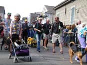 2009-Mystic-Krewe-of-Barkus-Mardi-Gras-French-Quarter-New-Orleans-Dog-Parade-Harriet-Cross-7393