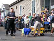 2009-Mystic-Krewe-of-Barkus-Mardi-Gras-French-Quarter-New-Orleans-Dog-Parade-Harriet-Cross-7395