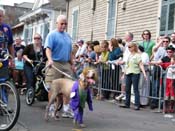 2009-Mystic-Krewe-of-Barkus-Mardi-Gras-French-Quarter-New-Orleans-Dog-Parade-Harriet-Cross-7399