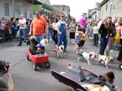 2009-Mystic-Krewe-of-Barkus-Mardi-Gras-French-Quarter-New-Orleans-Dog-Parade-Harriet-Cross-7406