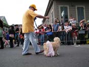 2009-Mystic-Krewe-of-Barkus-Mardi-Gras-French-Quarter-New-Orleans-Dog-Parade-Harriet-Cross-7410