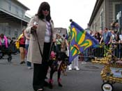 2009-Mystic-Krewe-of-Barkus-Mardi-Gras-French-Quarter-New-Orleans-Dog-Parade-Harriet-Cross-7418