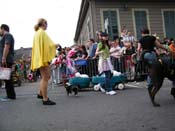 2009-Mystic-Krewe-of-Barkus-Mardi-Gras-French-Quarter-New-Orleans-Dog-Parade-Harriet-Cross-7422