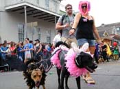 2009-Mystic-Krewe-of-Barkus-Mardi-Gras-French-Quarter-New-Orleans-Dog-Parade-Harriet-Cross-7428