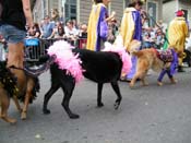 2009-Mystic-Krewe-of-Barkus-Mardi-Gras-French-Quarter-New-Orleans-Dog-Parade-Harriet-Cross-7429