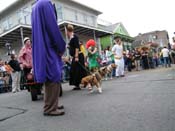 2009-Mystic-Krewe-of-Barkus-Mardi-Gras-French-Quarter-New-Orleans-Dog-Parade-Harriet-Cross-7435