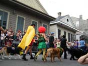 2009-Mystic-Krewe-of-Barkus-Mardi-Gras-French-Quarter-New-Orleans-Dog-Parade-Harriet-Cross-7440