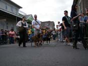 2009-Mystic-Krewe-of-Barkus-Mardi-Gras-French-Quarter-New-Orleans-Dog-Parade-Harriet-Cross-7441