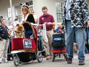 2009-Mystic-Krewe-of-Barkus-Mardi-Gras-French-Quarter-New-Orleans-Dog-Parade-Harriet-Cross-7442